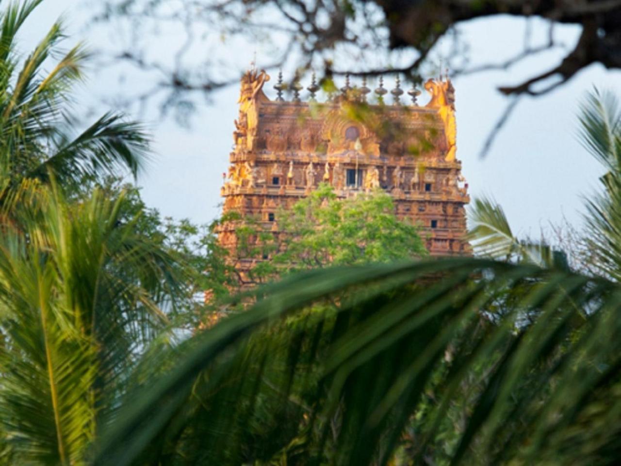 Jaffna Heritage Villa מראה חיצוני תמונה